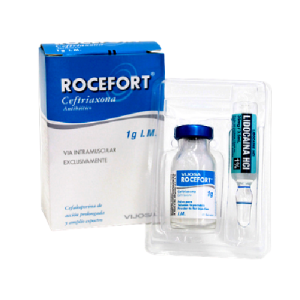 Rocefort